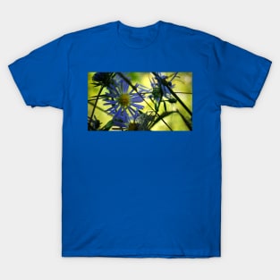 Blue Aster Flower T-Shirt